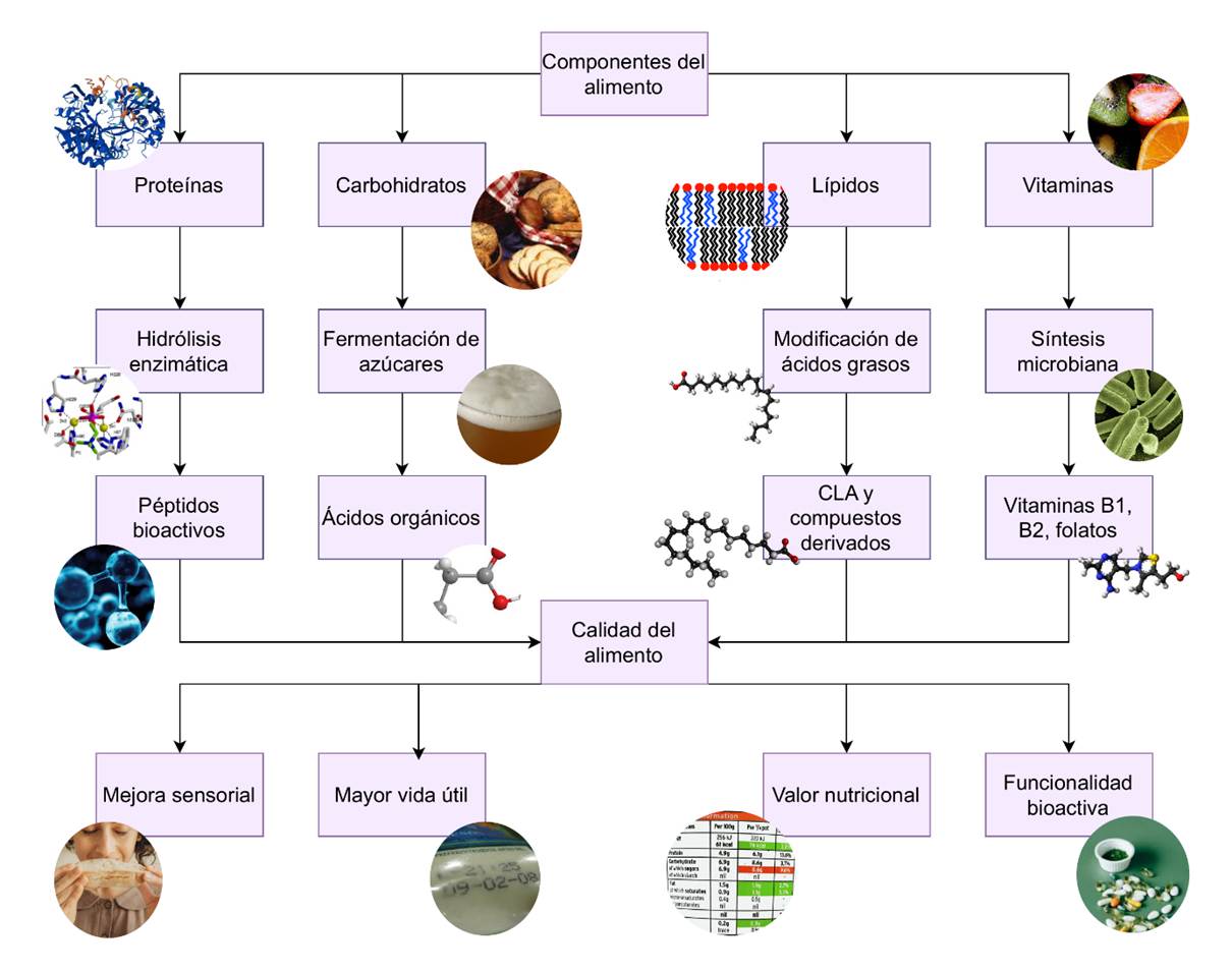 Diagrama sin título.drawio.png-1