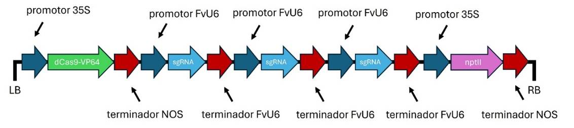 Diagrama, Forma, Flecha
El contenido generado por IA puede ser incorrecto.