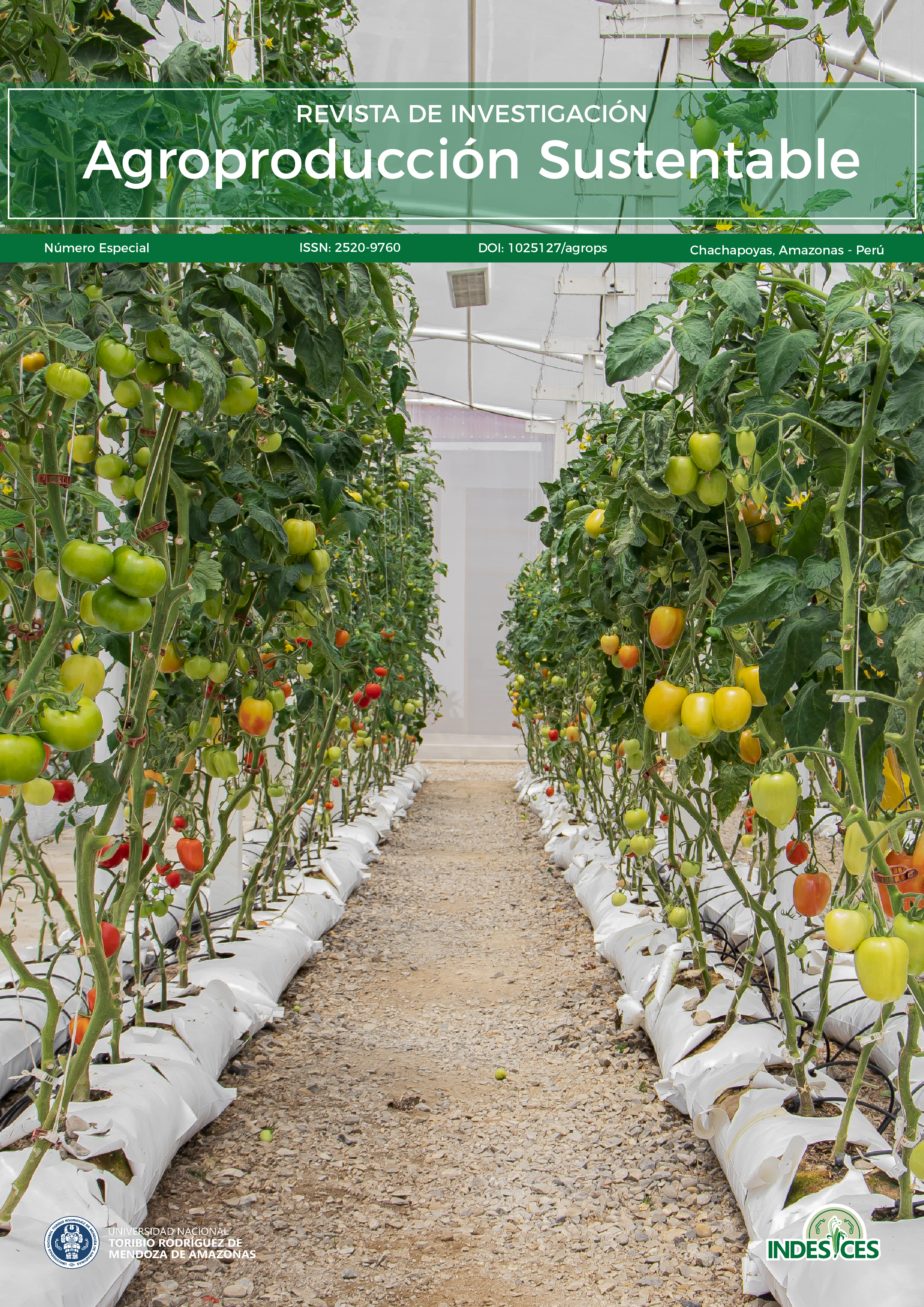 					Ver Vol. 7 (2026): Número especial “Desafíos y oportunidades para la innovación agroecológica en la Amazonía”
				